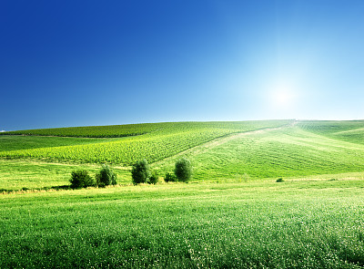 阳光明媚的意大利托斯卡纳山图片下载