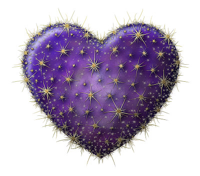 仙人掌的心图片下载