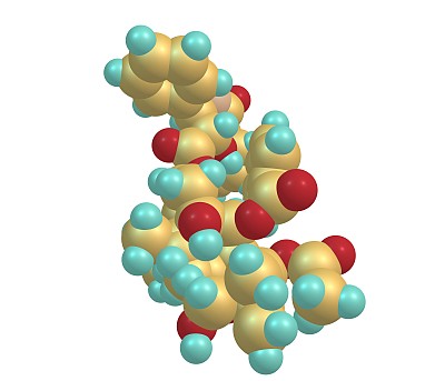 紫杉醇分子分离于白色图片下载