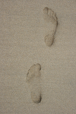 的足迹图片下载