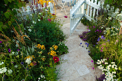 花园小径图片下载