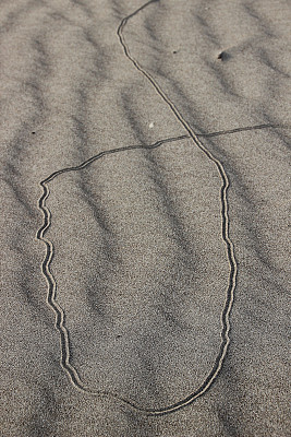 海滩砂的形态图片下载