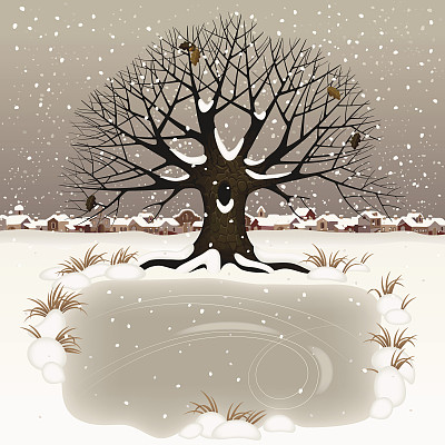 冬天的风景图片下载