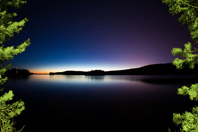 湖面上繁星点点的天空被松树的枝桠环绕着图片下载