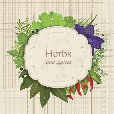 帆布上有香草和香料的复古卡片图片下载