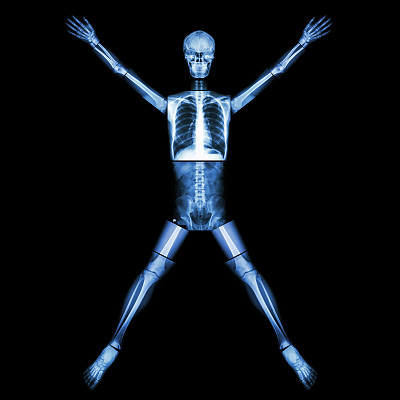人的骨头是伸展手臂和腿的图片下载