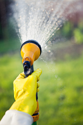 用花园水龙带手动浇灌植物图片下载