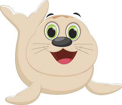 卡通可爱的海豹图片下载