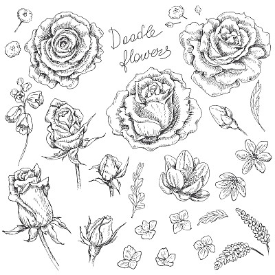 花朵合集素材图片