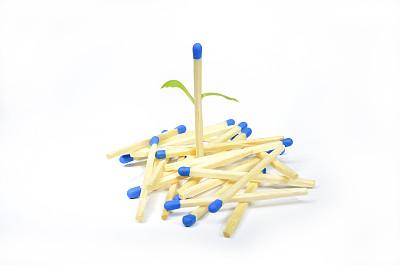 火柴棍长出叶子图片下载