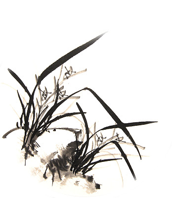 墨兰图图片下载