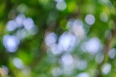 背景散景光在日出图片下载