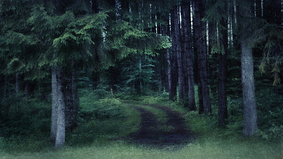 数字艺术，绘画效果，黄昏阴森森的林地图片下载