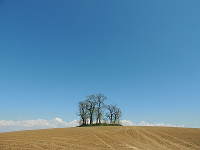 像一个沙漠图片下载