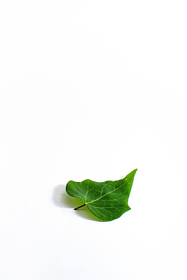 下降的绿色图片下载