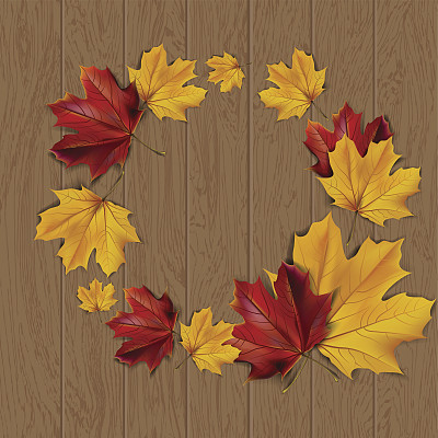 秋天的框架图片下载