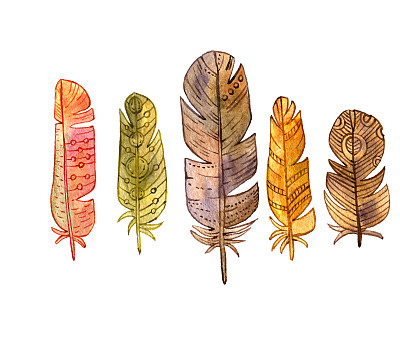 一套水彩棕色羽毛图片下载