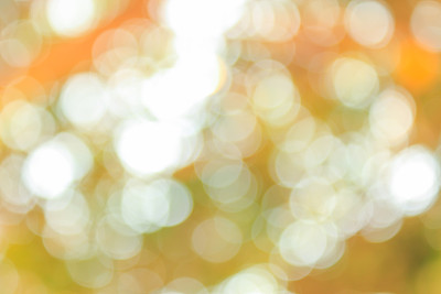 散光下树阴图片下载