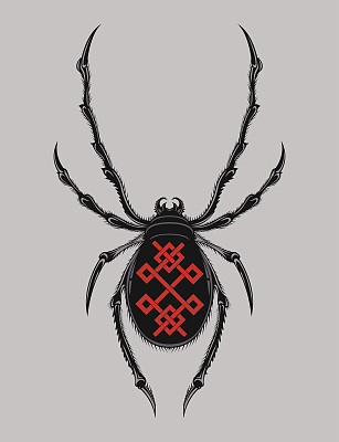 说明蜘蛛图片下载