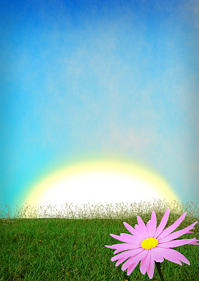 春天的背景是蓝天图片下载