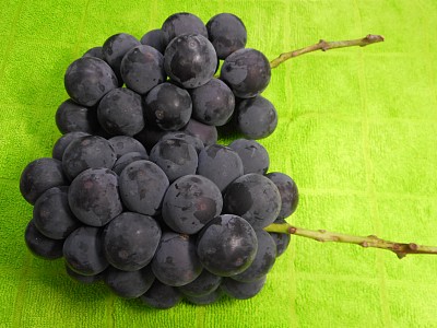 葡萄图片下载