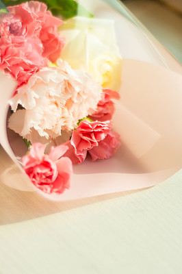 一束康乃馨图片下载