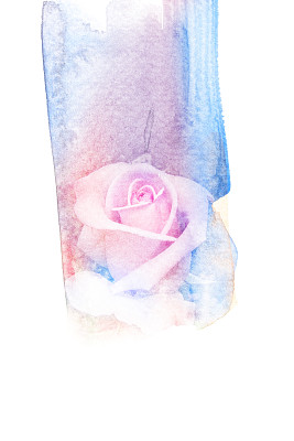 花水彩插图。图片下载