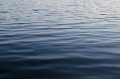 的镇静作用图片下载