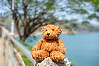 泰迪熊在大自然美丽的景色图片下载