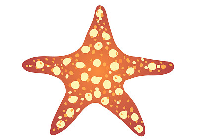 白色背景上的海星。图片下载