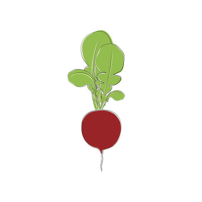 萝卜蔬菜孤立地站在白色图片下载