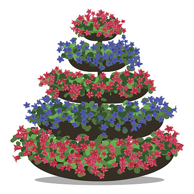 矢量插图的花卉安排图片下载