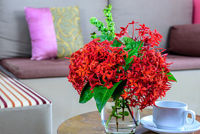 沙发背景上的桌子上放着五颜六色的花瓶、咖啡杯图片下载