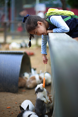 小动物园管理员图片下载