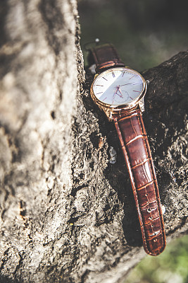 人们在大自然中观察图片下载