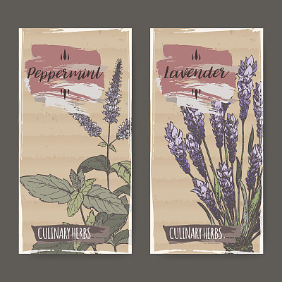 有薄荷和薰衣草两种颜色的标签。图片下载