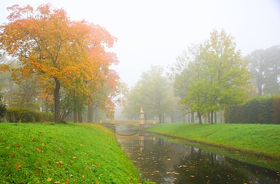 有雾的早晨和中国桥图片下载