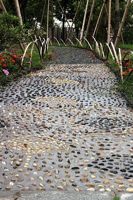 中国反射学路径图片下载