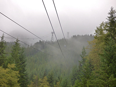 雾蒙蒙的加拿大森林图片下载