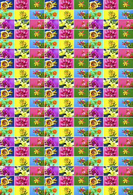 花的背景。图片下载