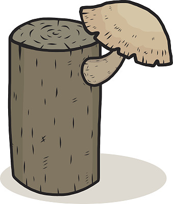 原木和蘑菇图片下载