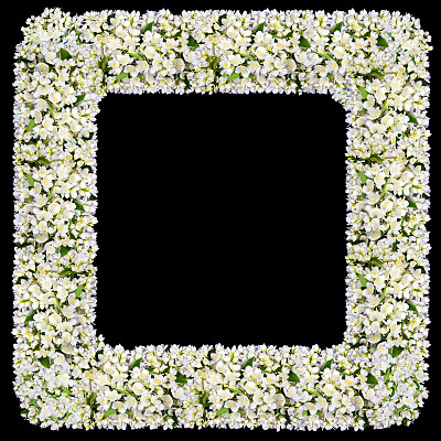 白色的茉莉花构成了悼念墓地的方形框架。孤立的黑色抽象拼贴图片下载