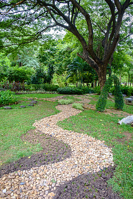 公园的绿色自然图片下载