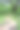 公园的绿色自然图片下载