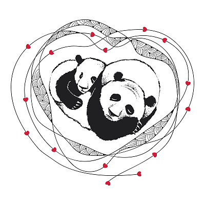 睡觉的熊猫夫妇爱华丽的框架与心隔离在白色。图片下载