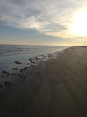 加尔维斯顿 （得克萨斯州）图片下载