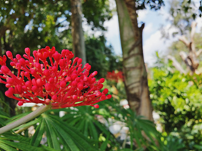 处理VSCOcam图片下载