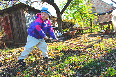 男孩耙树叶图片下载