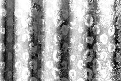 摘要镀锌铁皮屋顶图片下载