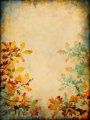 叶片变化图片下载